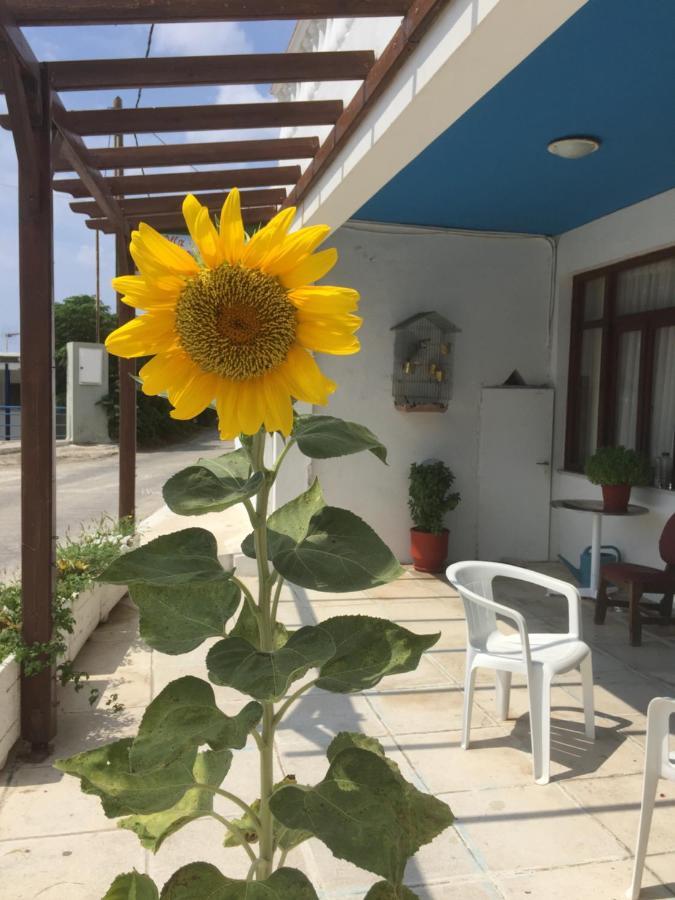 Villa Bonatsa Andros Home Batsíon Exteriér fotografie