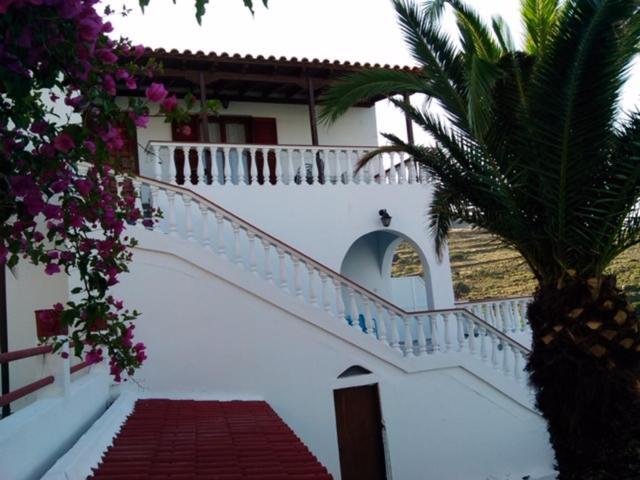 Villa Bonatsa Andros Home Batsíon Exteriér fotografie